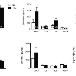 Myokine Secretion Secretion Of Selected MK From ND And T2D MT CM