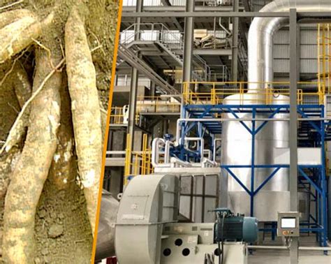 Cassava Starch Process Technology Plan