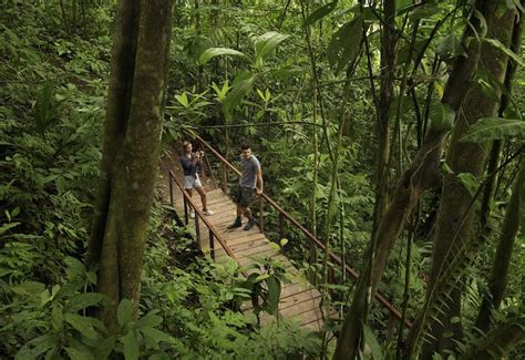 Nurturing Spiritual Well-Being in the Enchanting Costa Rica Rainforest