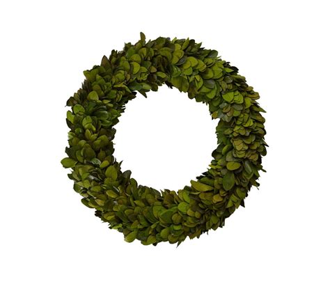 Preserved Holly Wreath (Packs of 4) – Bloompop