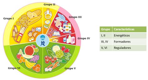 La Rueda De Los Alimentos Tipos De Alimentos Y Sus Funciones Carmen