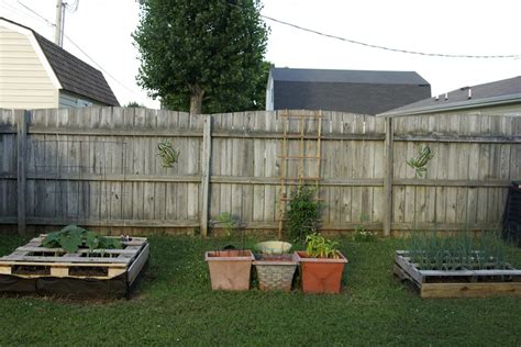 Container Garden Ideas