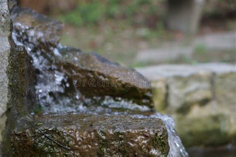 Tir De Focalisation S Lectif D Un Rocher Glissante En Nature Photo