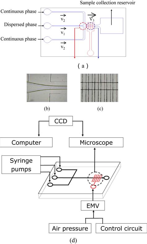 A Schematic Illustration Of The Working Principle Of The Microfluidic