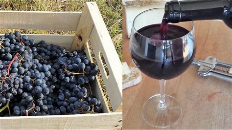 Homemade Italian Wine How To Make Wine At Home From Grapes Without