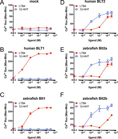 Calcium Mobilization In Cho Cells Expressing The Zebrafish Blt