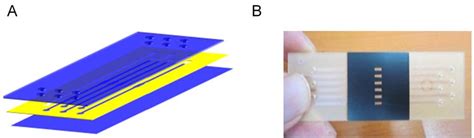 PDF Polymeric LabChip Real Time PCR As A Point Of Care Potential