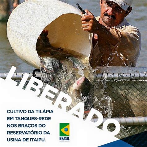 Centro Acad Mico De Engenharia De Pesca Libera O Do Cultivo Da