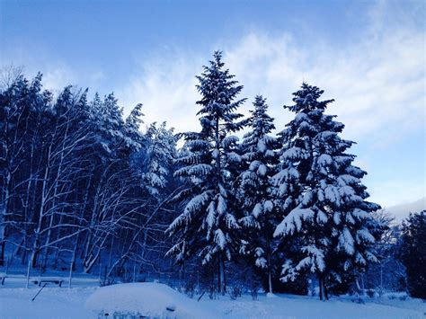 Winter in Poland 2 Free Photo Download | FreeImages