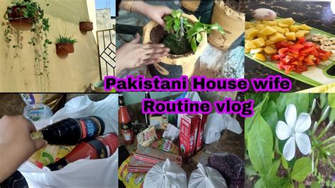 Pakistani House Wife Daily Routine Ghar Main New Plants Kashmir