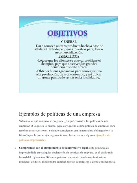 Ejemplos De Políticas De Una Empresa Pdf Calidad Comercial Business