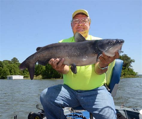 Selecting the Best Catfish Baits By Species | Great Days Outdoors