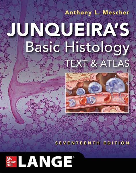 The Female Reproductive System Junqueiras Basic Histology Text And