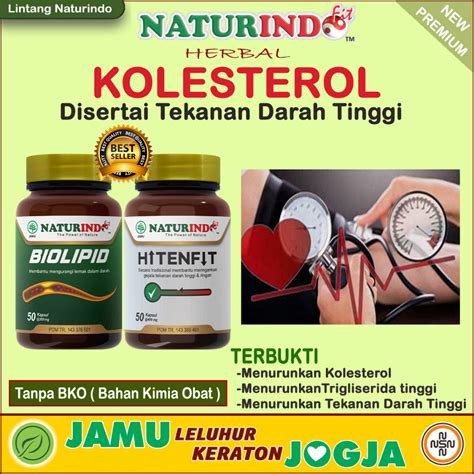 Jual Herbal Penurun Kolesterol Herbal Kolesterol Obat Kolesterol