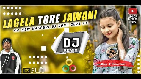 Lagela Tor Jawani Hd Quality New Nagpuri Dj Song Full Hard Remix Hsb