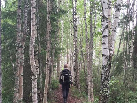 Skog Och Hälsa Startsida Externwebben