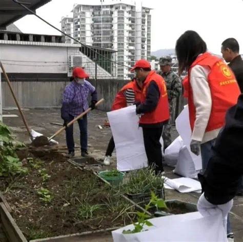 创城进行时丨长汀县审计局：清理天台杂物 营造整洁环境 楼顶 小区 行动