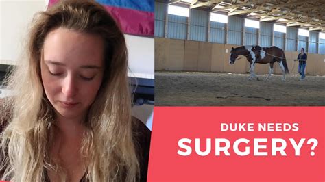 My Horse Needs Surgery Youtube