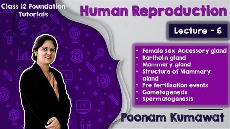 Lecture 6 Female Sex Accessory Gland Mammary Gland Gametogenesis