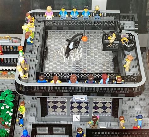 Lego Zoo: Killer Whale Tank