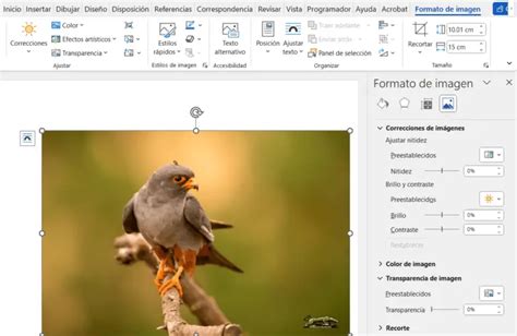 C Mo Hacer Que Una Imagen Sea Transparente En Word