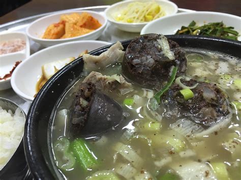 일경식당 대구 동구 동대구역 신천 맛집검색 식신