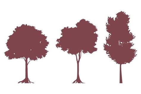 Tree Outline Vector Art, Icons, and Graphics for Free Download