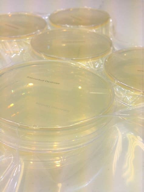 Sabouraud Dextrose Agar Sda Pack Pre Poured Flat Packed