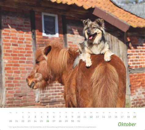 Kalender Times More Echte Freunde Bildkalender 2025 Online Kaufen