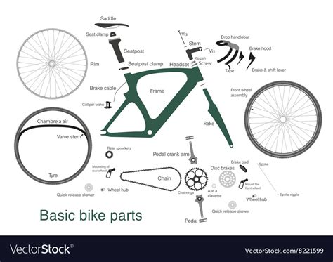 Infographic of main bike parts with the names Vector Image