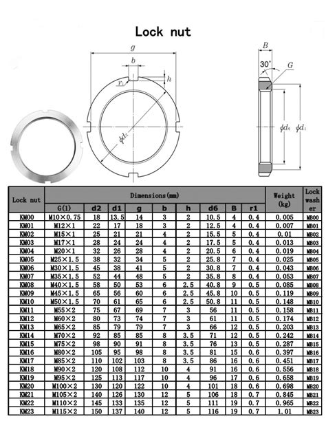 Stainless Steel Lock Nuts M6 Ss Hex Nylon Insert Lock Nuts