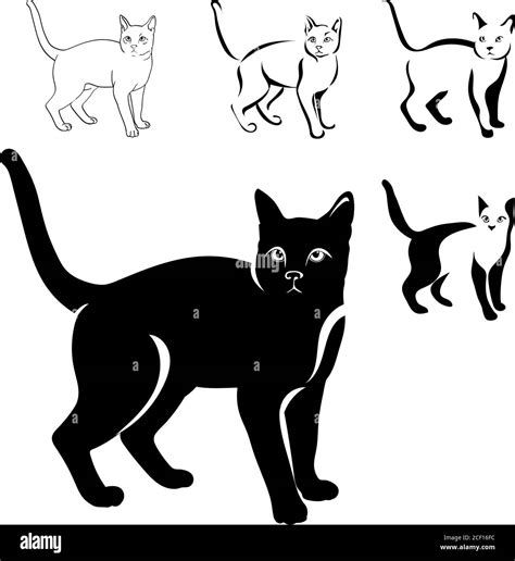 Cats Black Image In Various Positions Cat Sitting Lying Down Walking