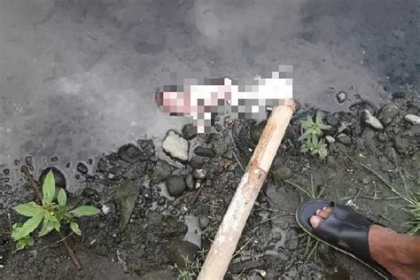 Pemancing Temukan Mayat Bayi Di Gajahwong Krjogja