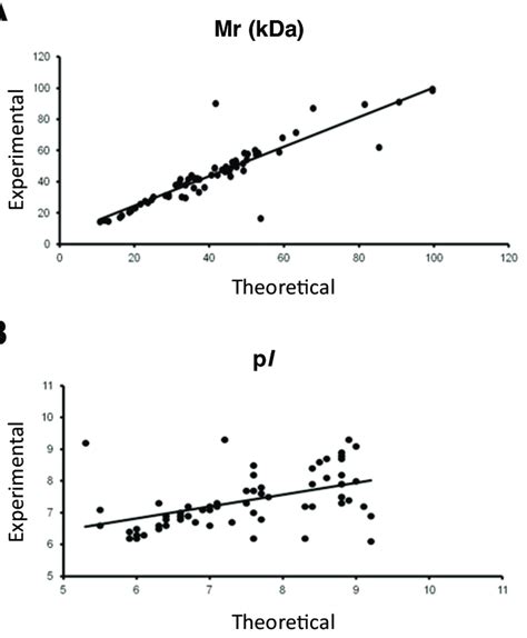 Correlation Between Experimentally Determined And Theoretical Mr A