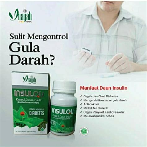 Jual Insulin Kapsul Insulqu Inayah Ektrack Daun Insulin Obat Diabet