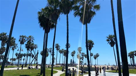 Venice Beach CA With Chingaderas YouTube