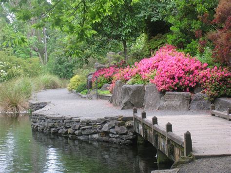 Images from Crystal Springs Rhododendron Garden – Author Paul Gerald