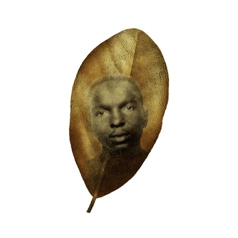 james chaney unresolved frontline pbs web interactive