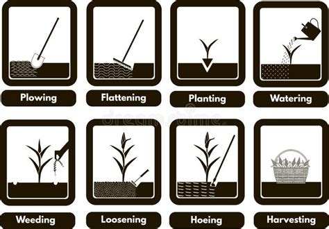farming activities stock illustrations  farming activities stock