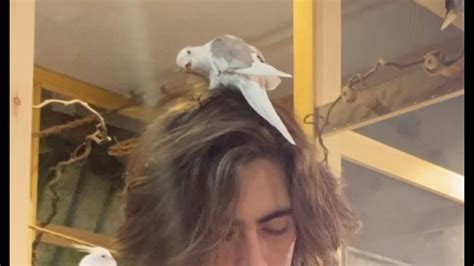 My hair gets brutally attacked by bird as I try to play Crosses by José