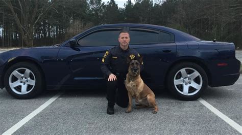 Nash County K 9 Deputy Sasha Returning To Duty Despite Leg Amputation