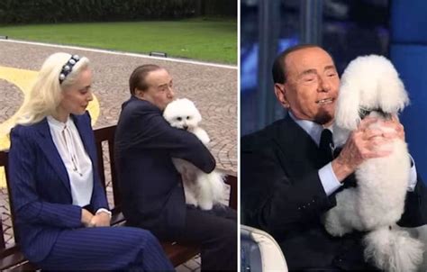 marta a dudù ci pensi tu risolto il mistero del cane di silvio