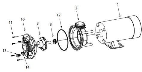 POOL PUMPS & PARTS : E SERIES PUMP PARTS - Waterway Parts Pool Supplies