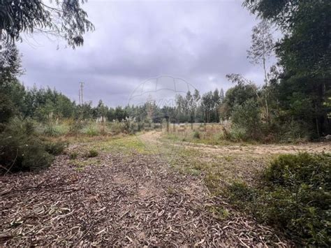 Arrendamento De Terreno Na Rua Da Bou A Nogueira Do Cravo E Pindelo