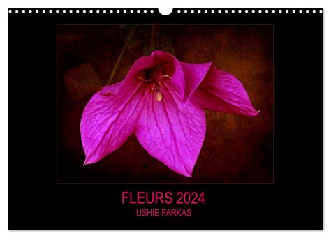 Amazon FLEURS 2024 FR Version Calendrier Mural 2024 DIN A3