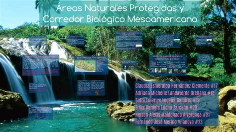 Áreas Naturales Protegidas Y Corredor Biológico Mesoamerican By Emerice