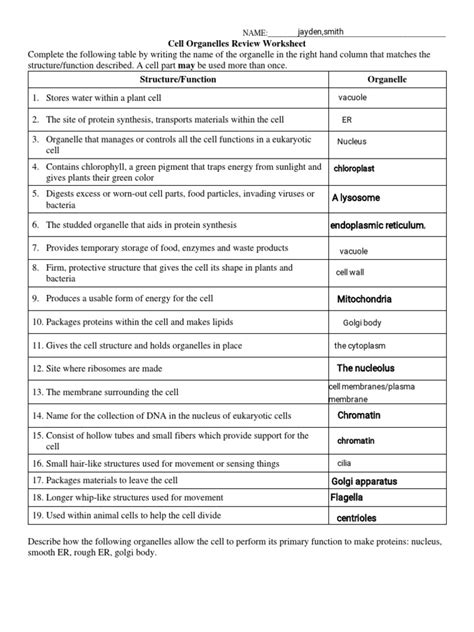 Cell Organelles Worksheet Docx Name Biology Date Period