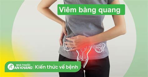 Viêm Bàng Quang Là Gì Tìm Hiểu Những Triệu Chứng Cần Lưu ý