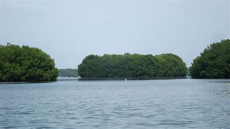 CIÉNAGA GRANDE DE SANTA MARTA COLPARQUES PARAÍSOS POR DESCUBRIR EN