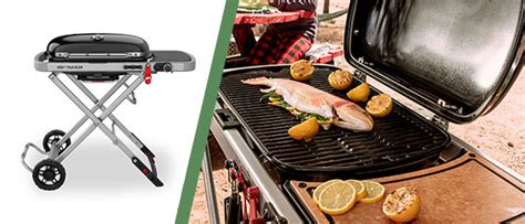 Quel Barbecue Gaz Weber Choisir Esprit Barbecue